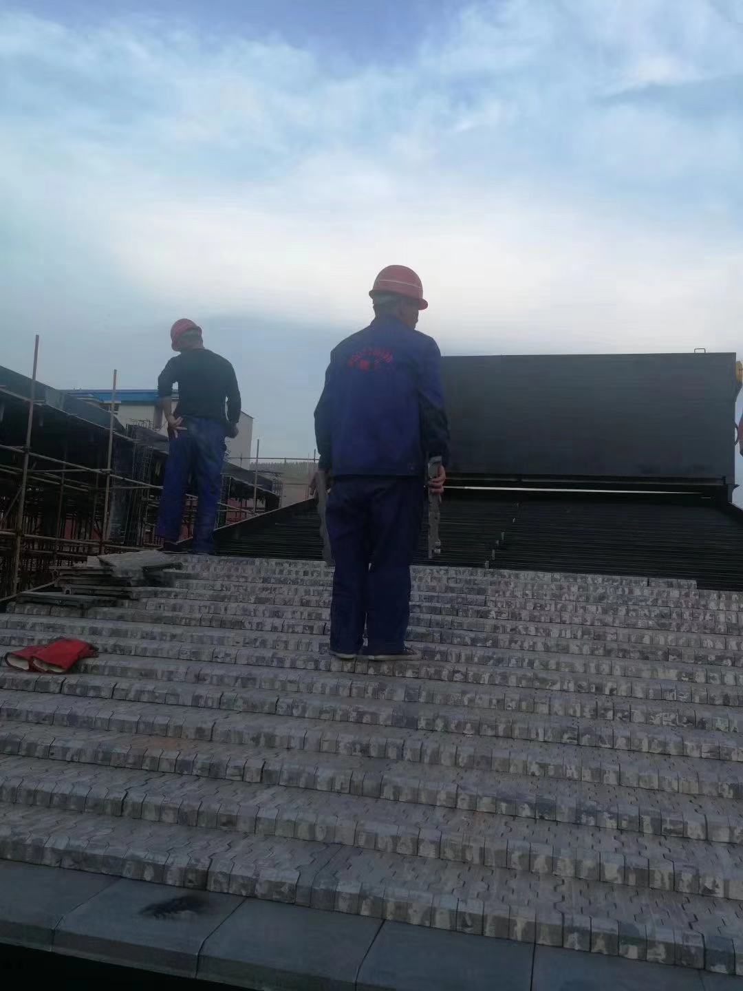 Philippine power plant biomass boiler reciprocating grate stoker